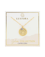 Capricorn Zodiac Necklace with Tanzanite Gemstone on Packaging Card