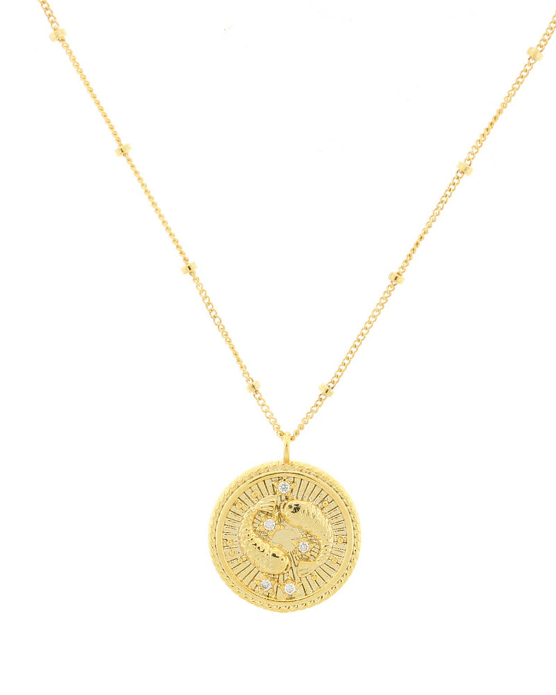 Pisces Zodiac Necklace on a White Background