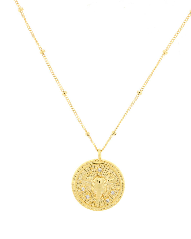 Taurus Zodiac Necklace on a White Background