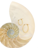 14k gold-filled Cami Oval Hoops in 2 sizes on open shell