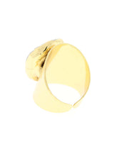 Back View of a Cigar Ring on a White Background