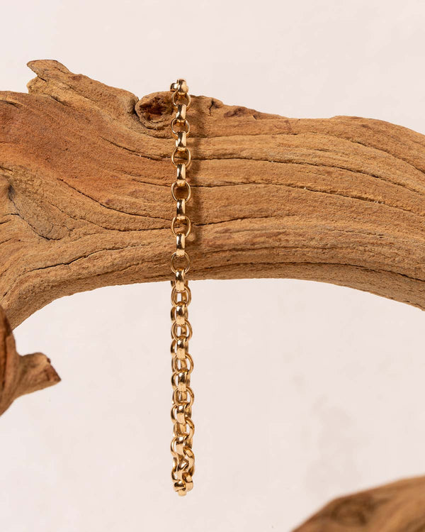 14K Gold-Filled Clara Bracelet Hanging off a Branch
